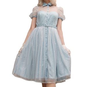 Blue Cinderella Dress